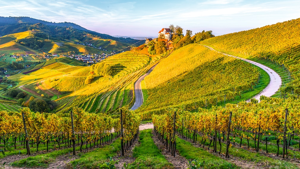 tour mit dem auto durch deutschland