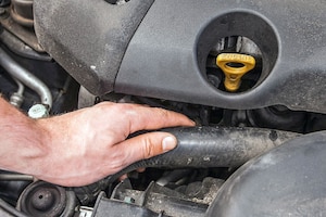 Hier droht Hitzetod - Service