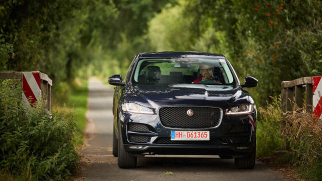 Jaguar F-Pace: Gebrauchtwagen-Test
