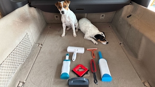 Fell & Furious  welche Tierhaarentferner sind leistungsstark?