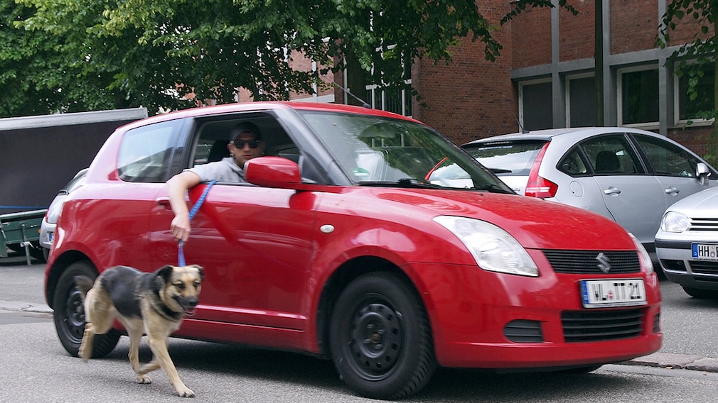 Gassi fahren mit dem Auto Fragwürdig und verboten AUTO BILD