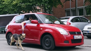 Hund mit dem Auto ausführen 5 Euro Bußgeld