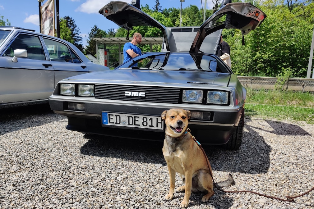 Autofahrt ins Ausland mit Haustier