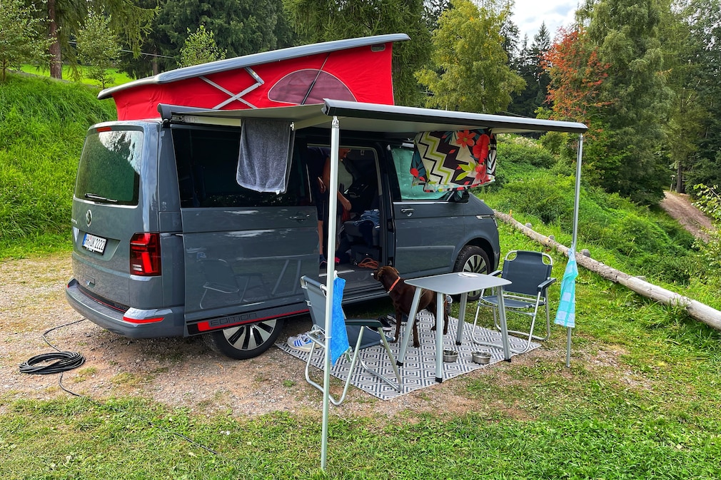 VW T6.1 California