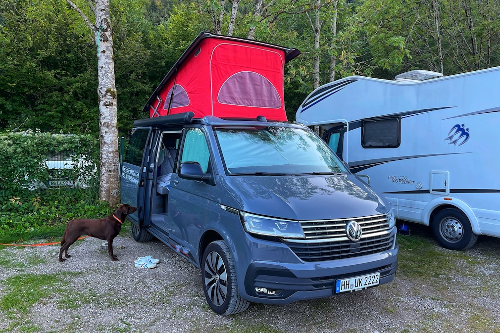 VW T6.1 California