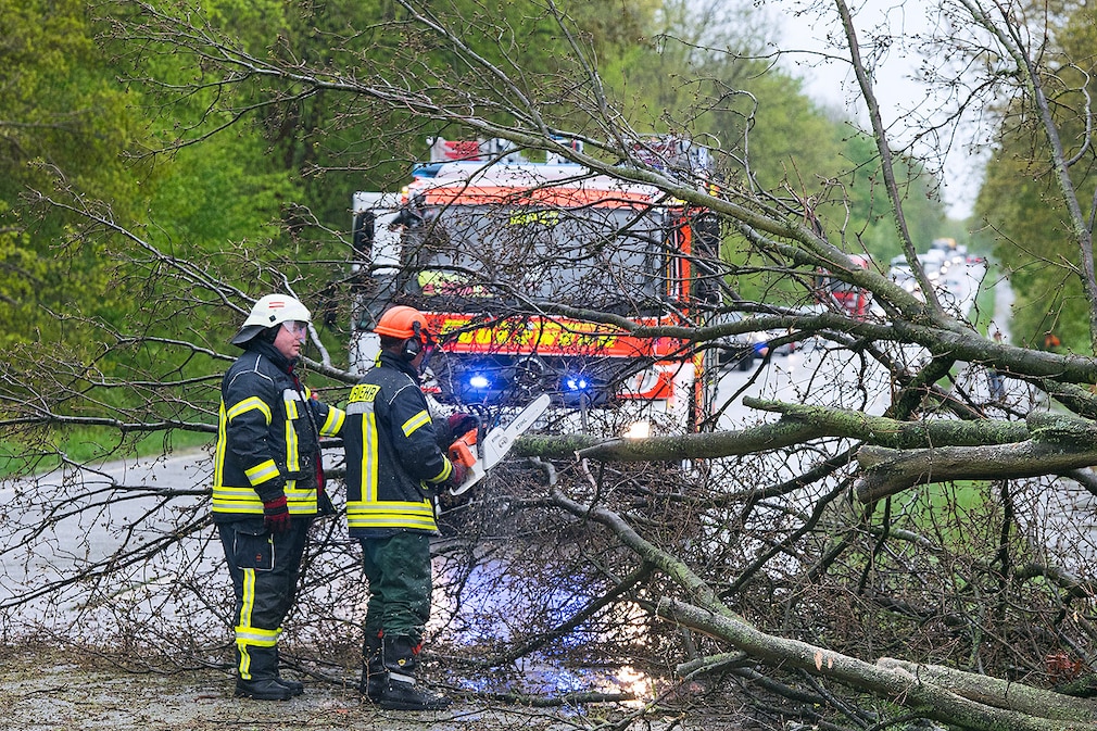 Feuerwehrleute zersägen am 05.05.2015 auf einer Landstraße zwischen Hamburg-Rahlstedt und Stapelfeld (Schleswig-Holstein) einen umgestürzten Baum