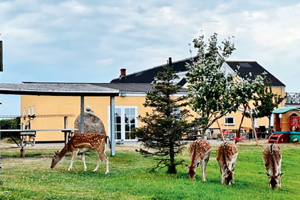 Camping-Stellplätze in Dänemark