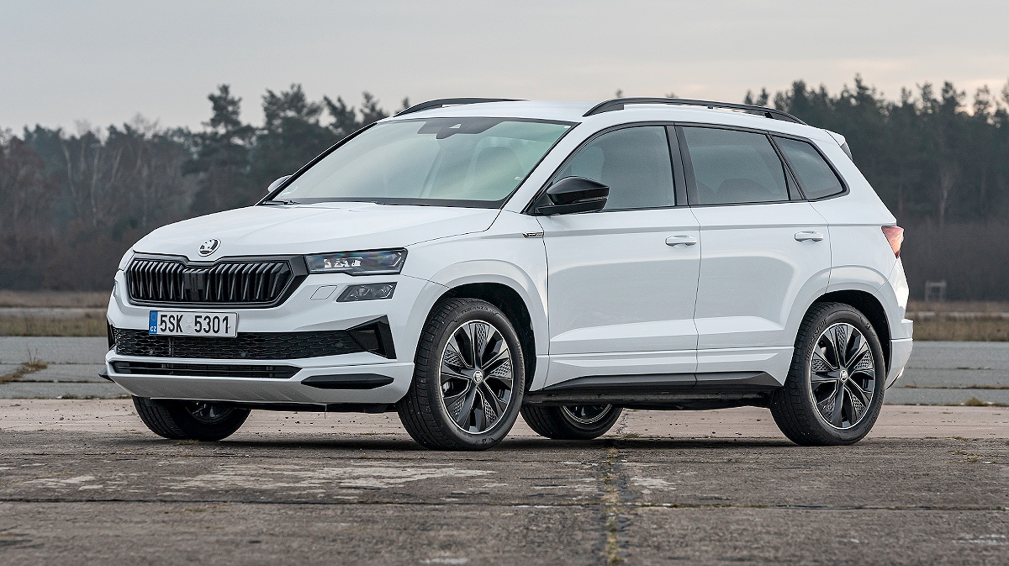 Skoda Karoq Leasing für 77 Euro netto AUTO BILD