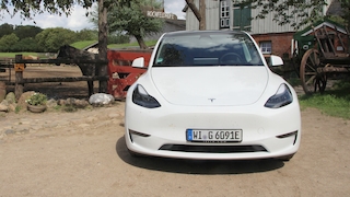 Tesla Model Y Performance