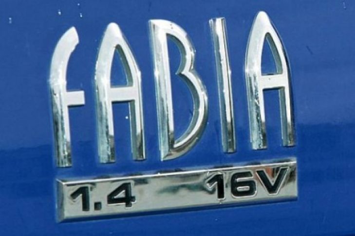 Gebrauchtwagen-Check Skoda Fabia (6Y)
