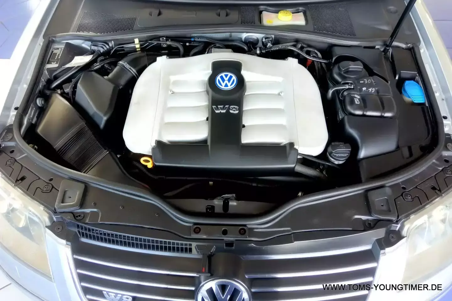 VW Passat W8