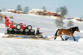 Winterreifen 205/55R16 in H- und V
