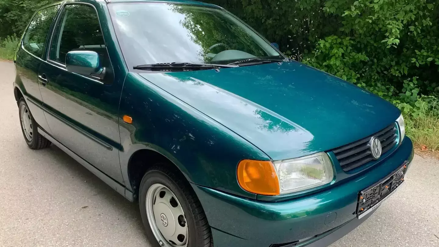 Polo 6n Grun