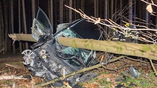 Horrorunfall: Baum durchbohrt Auto
