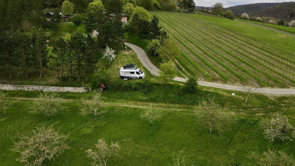 Campen am Weinberg