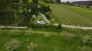 Campen am Weinberg