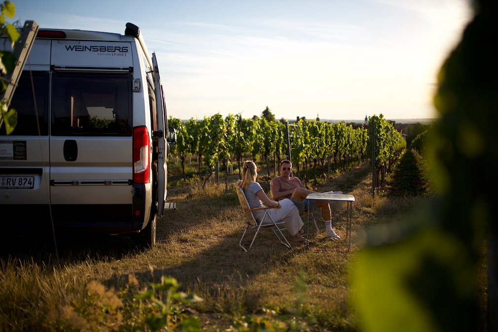 Weinbergstellplatz mit Blick ins Frankenland