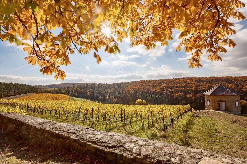 Weinbergstellplatz mit Blick ins Frankenland