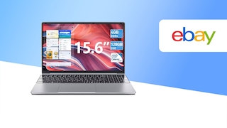 SGIN-Laptop bei eBay