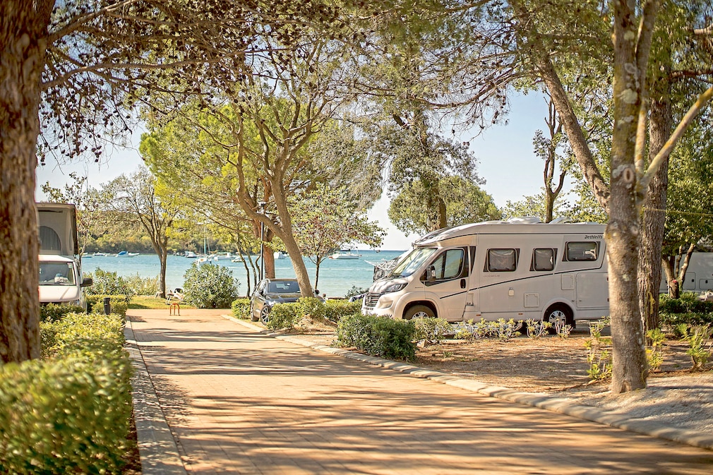 CampingVestar
