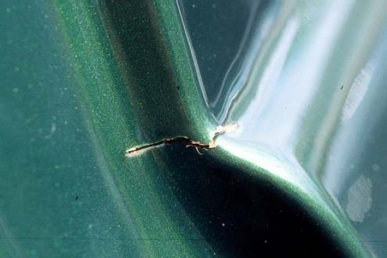 Opel Corsa mit Riss