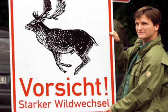 Wildwechsel