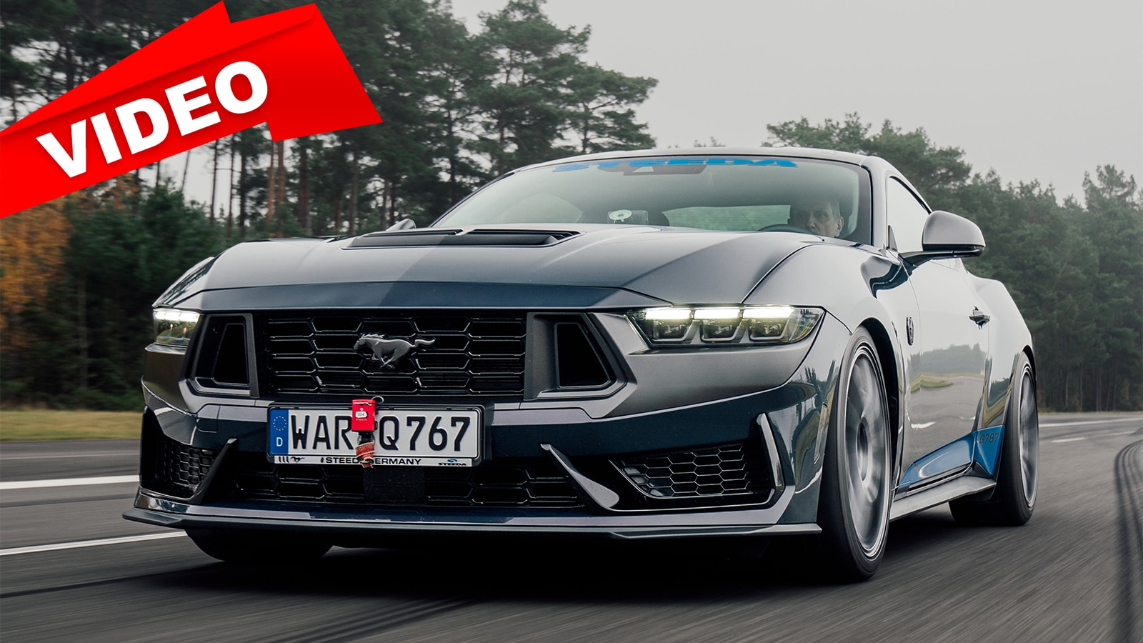 Vom-Pony-Car-zum-Rennpferd