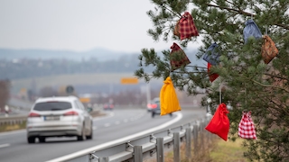 Tannenbaum
