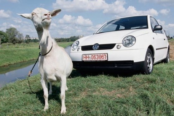VW Lupo (ab 1998)