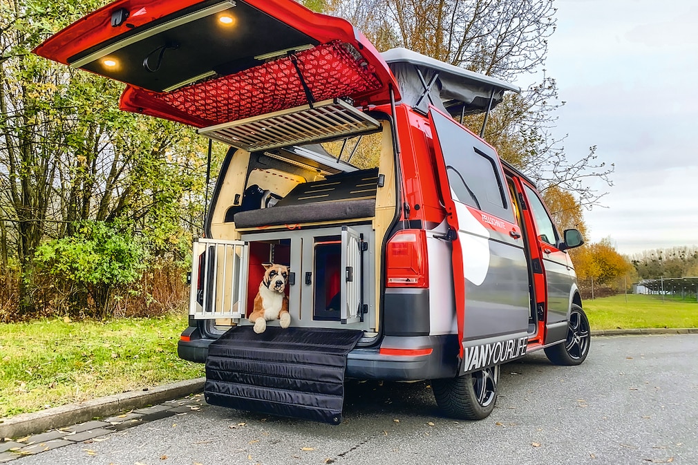 Camper-Neuheit: Flowcamper Fellschnute