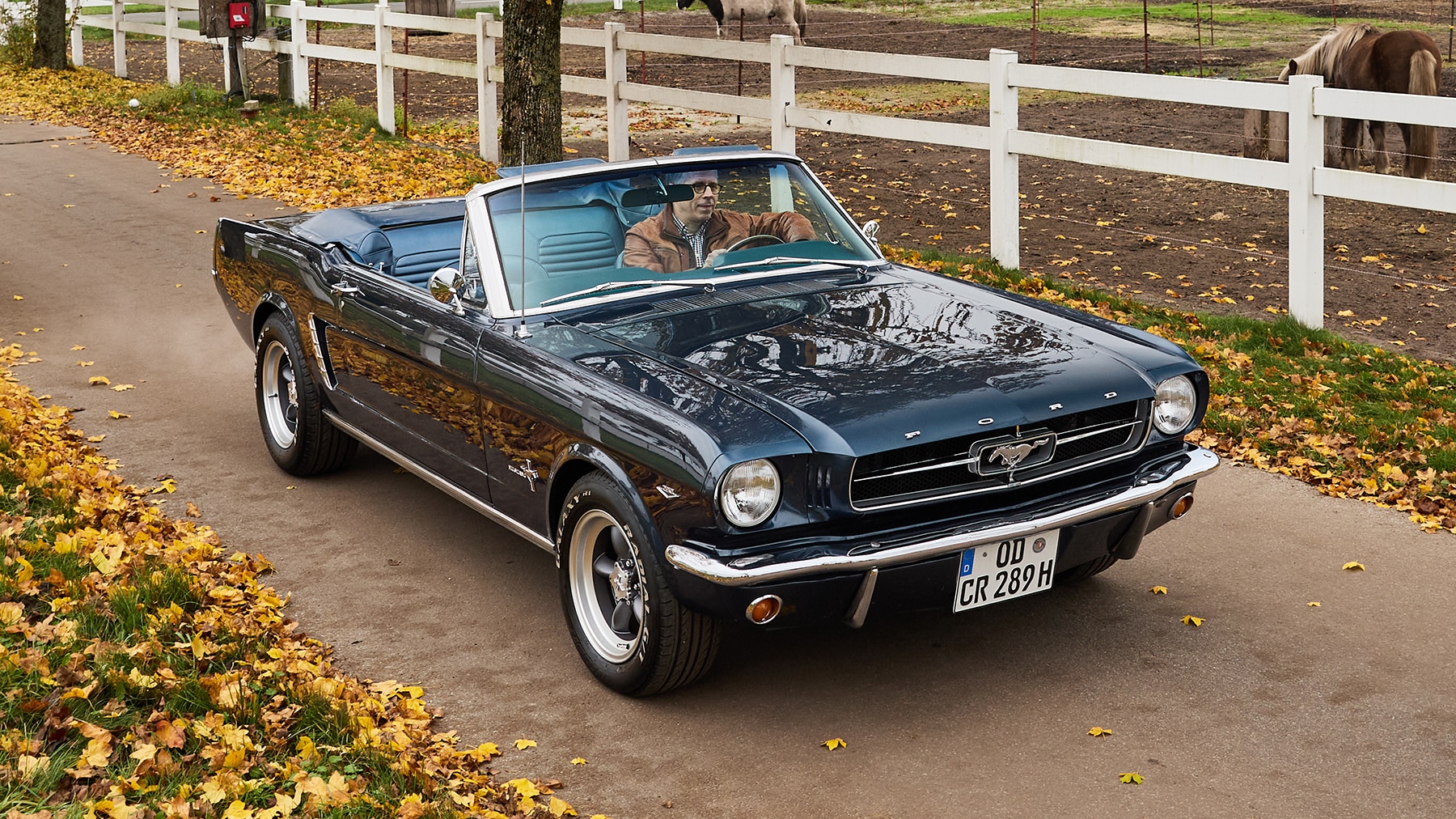 Vom-Trendsetter-zum-Kultklassiker-60-Jahre-Ford-Mustang