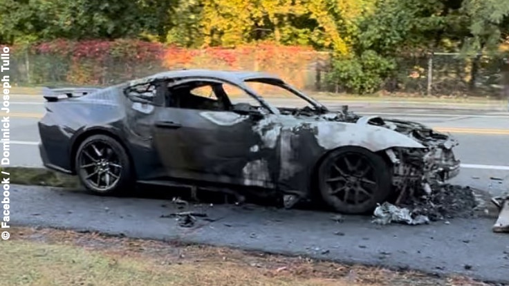 Das Wravk des abgebrannten Ford Mustang Dark Horse