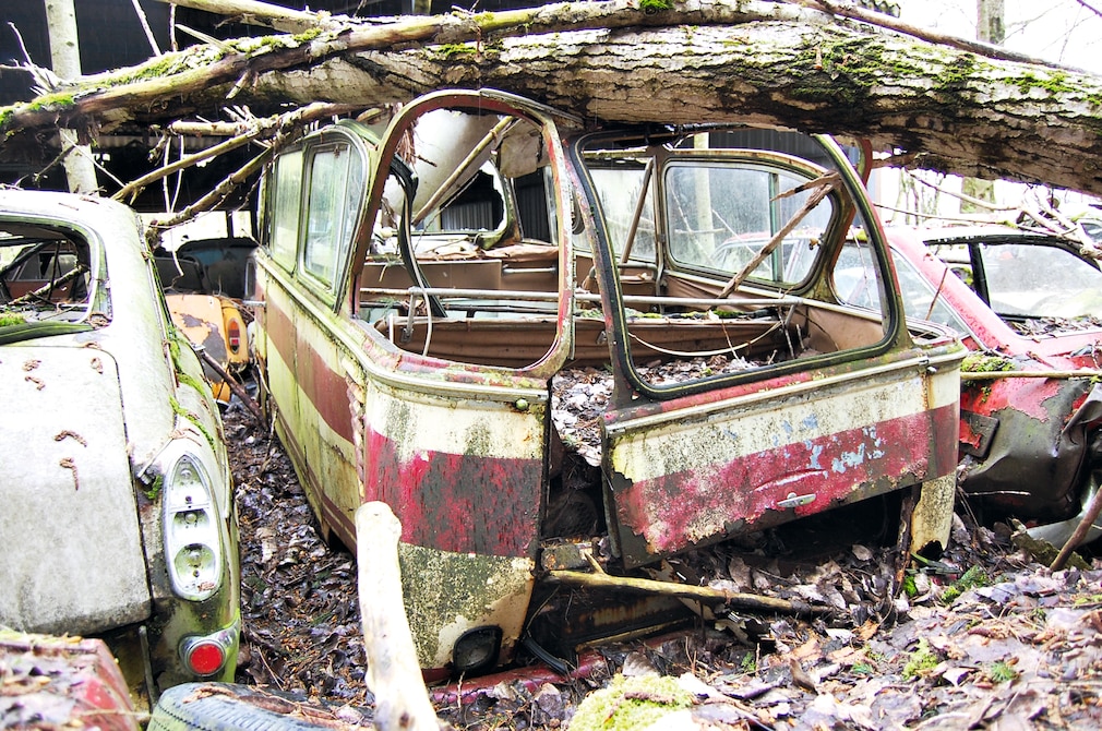 Fundsituation: VW T1 Auwärter Carlux von hinten unter einem ungefallenen Baum auf einem Schrottplatz