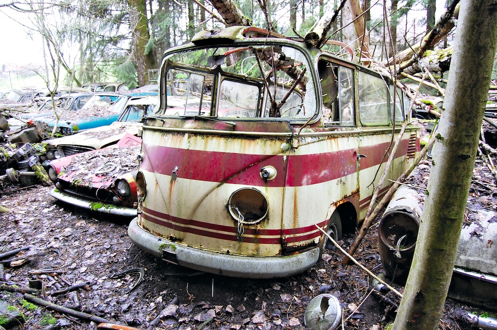 Fundsituation: VW T1 Auwärter Carlux von vorn unter einem ungefallenen Baum auf einem Schrottplatz