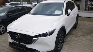 Japanisches SUV mit sparsamem Diesel 10.000 Euro günstiger