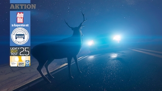 Licht-Sicht-Test 2025