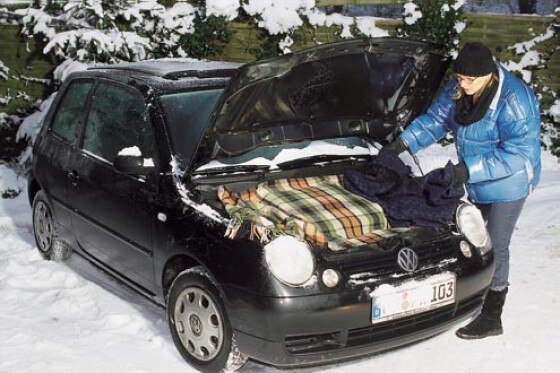 Frost-Skandal bei Volkswagen Frost-Skandal bei Volkswagen