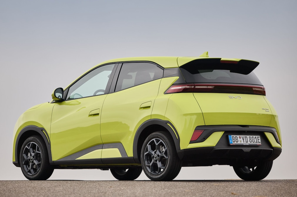 BYD Dolphin Surf