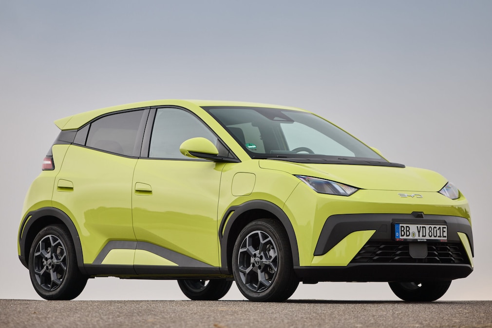 BYD Dolphin Surf