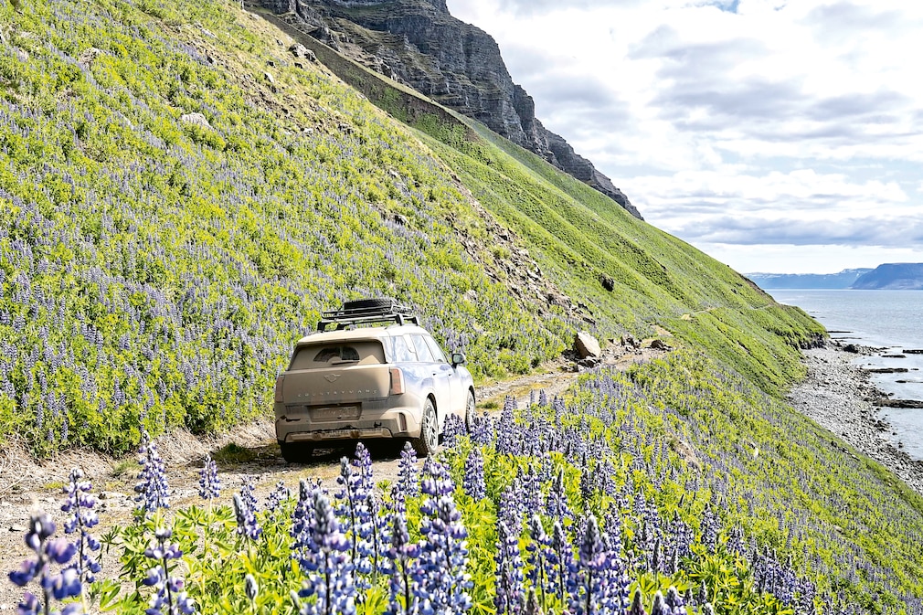 Mini Countryman Electric