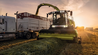 Claas Jaguar 1200-Feldhäcksler erntet Gras und lädt es bei Sonnenuntergang in einen Lkw ab.