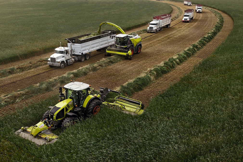 Claas-Traktor und Feldhäcksler ernten Getreide auf einem weiten Feld mit mehreren Lkw.