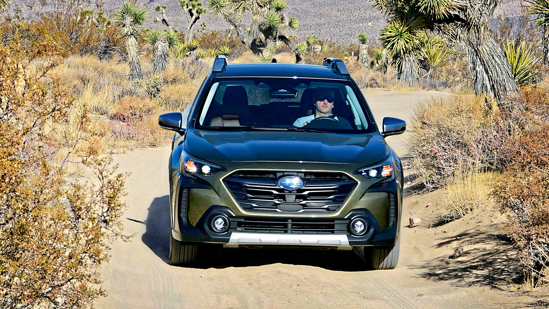 Warum-der-Subaru-Outback-der-wahre-Outdoor-Star-ist