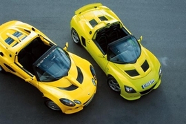 Lotus Esthi gegen Steinmetz Funster