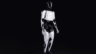 Tesla Roboter Optimus