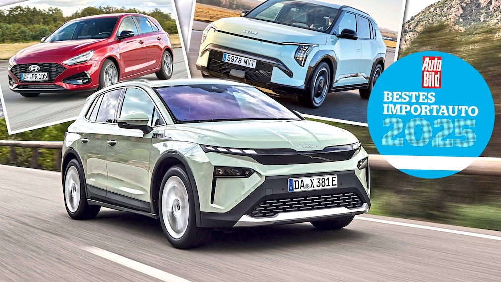 Das sind die besten Importautos 2025