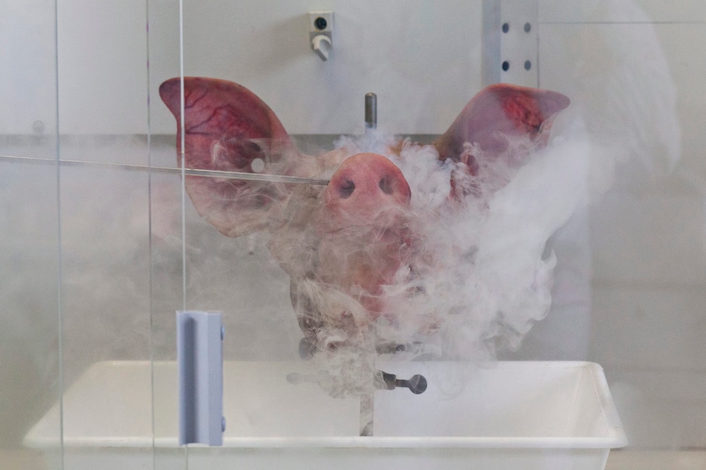 Seit 40 Jahren: AUTO BILD deckt auf