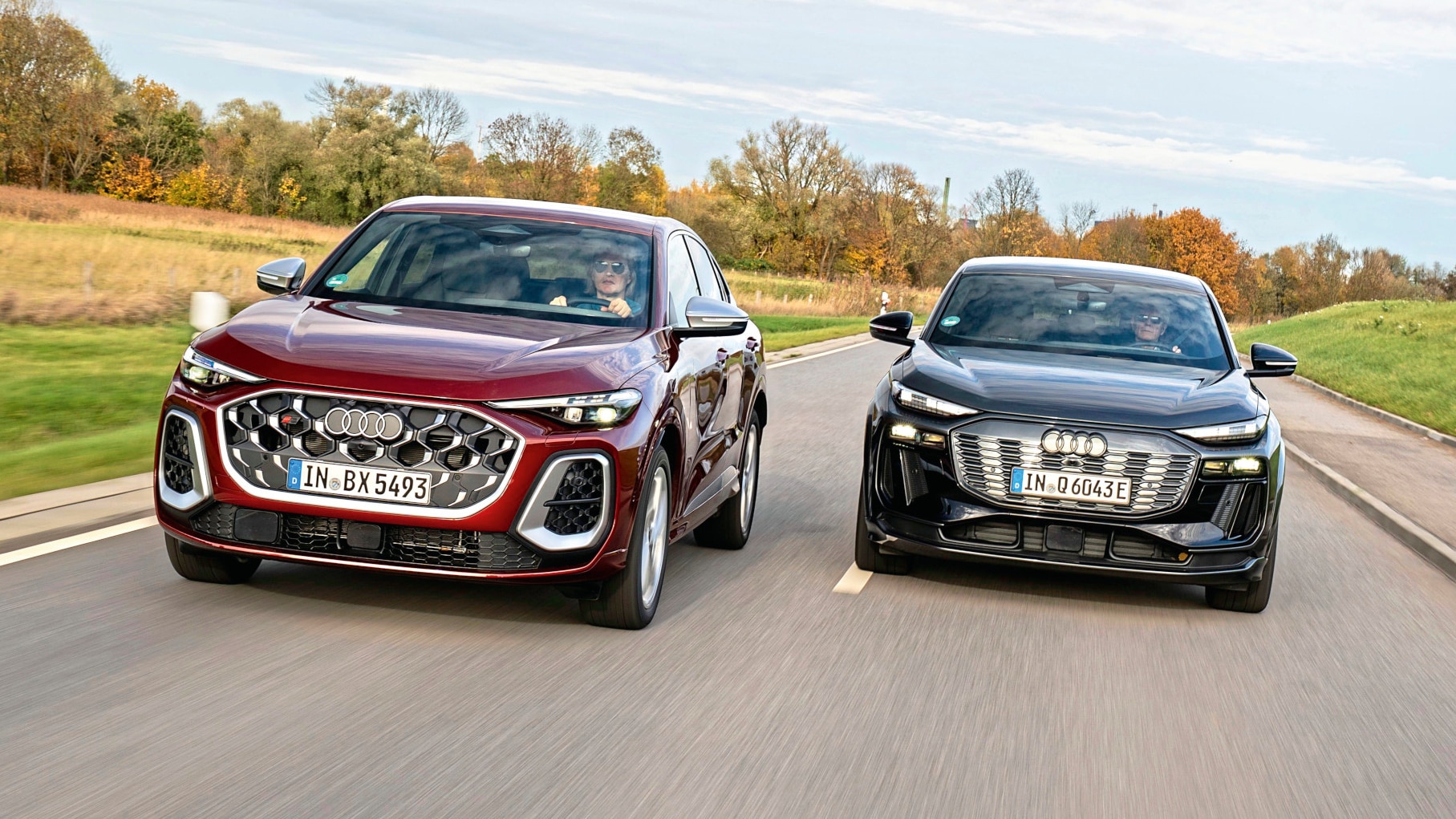 Audi SQ5 vs. Audi Q6 e-tron: Buyer's guide - | AUTO BILD
