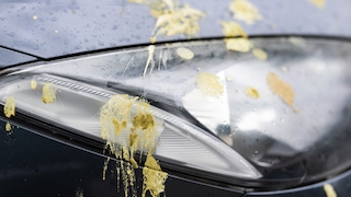 Vogelkot auf dem Auto? Dieser Fehler ruiniert deinen Lack