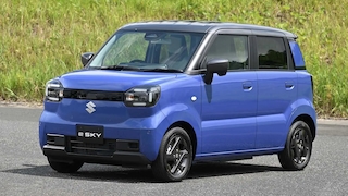 Suzuki eSky stehend auf einem Parkplatz vor einer Wiese.